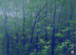 爽朝 455×333