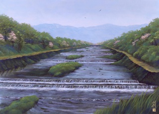 春の鴨川 909×652