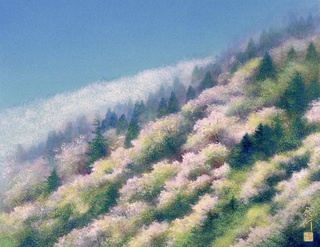 春奏 530×409