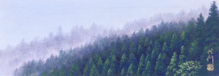 緑清 454×158