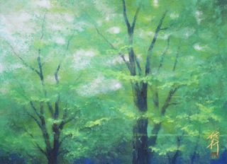 緑譜 455×380