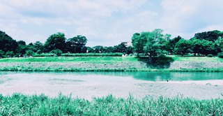 川端東一条付近にて