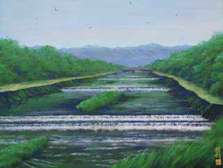 朝の鴨川 652×500